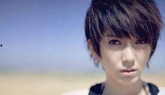 王十一与刘十五演员表,演绎传奇人生，共谱时代华章