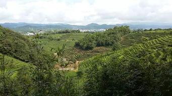 云南思茅生活照,生活画卷中的自然与人文交融