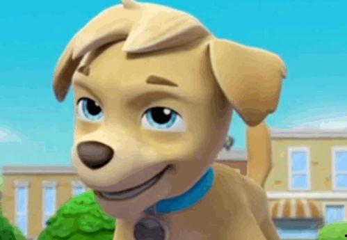 小狗汪汪图片,捕捉瞬间欢乐