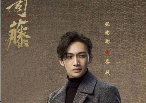 张四字明星,璀璨星途，闪耀人生