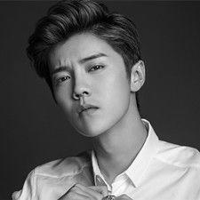 鹿唅个人资料,才华横溢的年轻歌手，音乐之路上的璀璨星辰